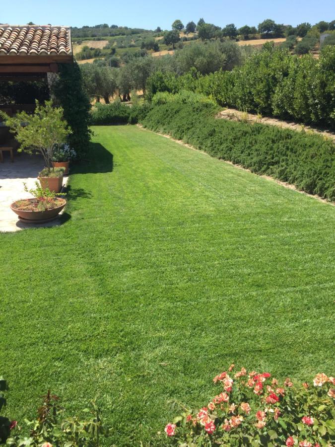 Villa Angiolina, Molise Guglionesi ภายนอก รูปภาพ
